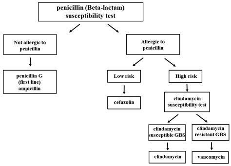 Clinical Guidelines for Group B Strep Disease .